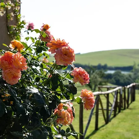 Casanova Di Campriano Holiday home Lupompesi